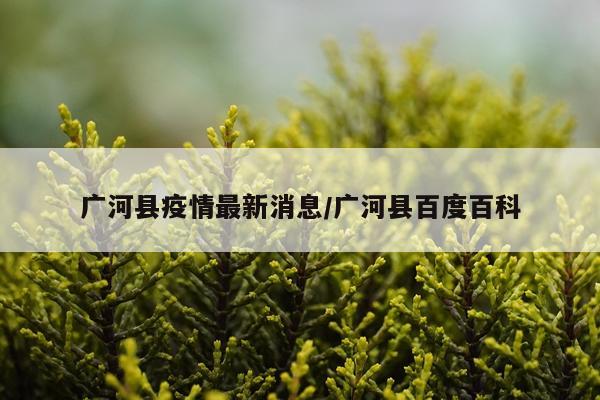 广河县疫情最新消息/广河县百度百科