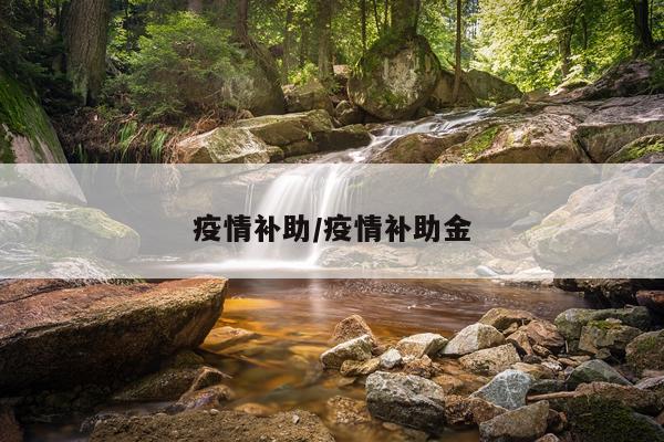 疫情补助/疫情补助金