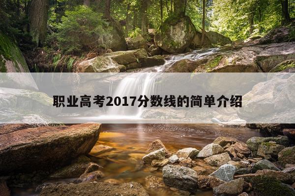 职业高考2017分数线的简单介绍
