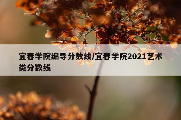 宜春学院编导分数线/宜春学院2021艺术类分数线