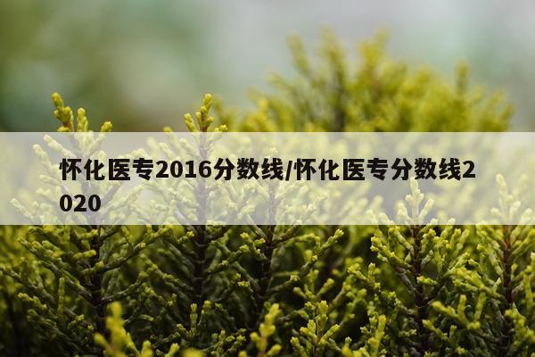 怀化医专2016分数线/怀化医专分数线2020