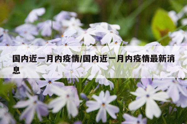国内近一月内疫情/国内近一月内疫情最新消息