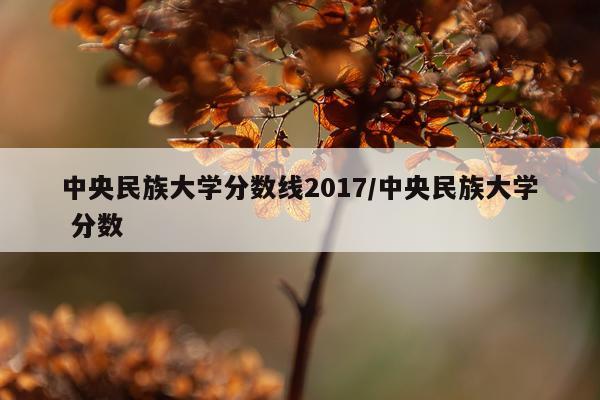 中央民族大学分数线2017/中央民族大学 分数