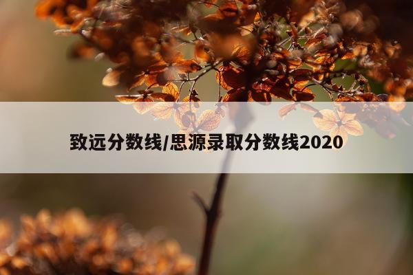 致远分数线/思源录取分数线2020