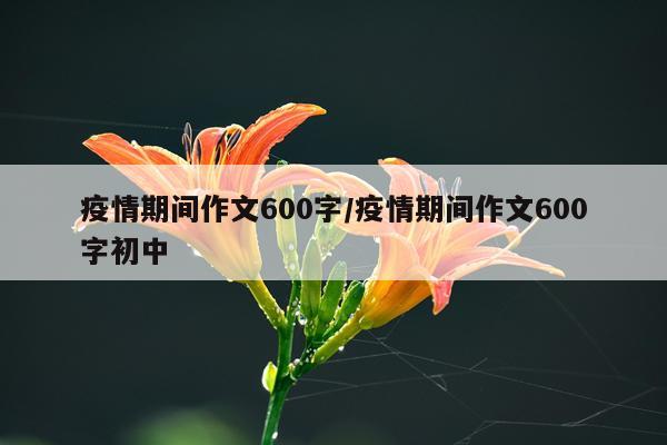 疫情期间作文600字/疫情期间作文600字初中