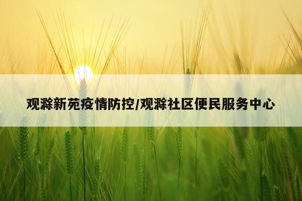 观滁新苑疫情防控/观滁社区便民服务中心