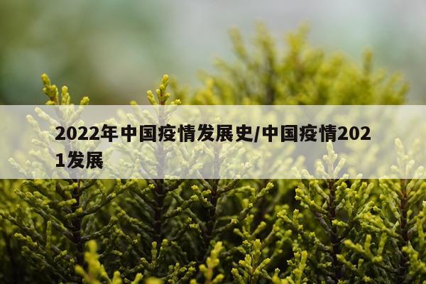 2022年中国疫情发展史/中国疫情2021发展