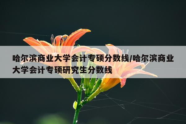 哈尔滨商业大学会计专硕分数线/哈尔滨商业大学会计专硕研究生分数线