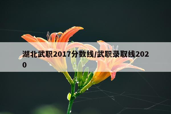 湖北武职2017分数线/武职录取线2020