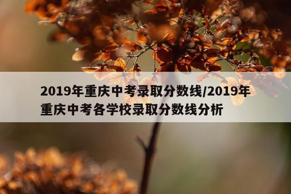 2019年重庆中考录取分数线/2019年重庆中考各学校录取分数线分析