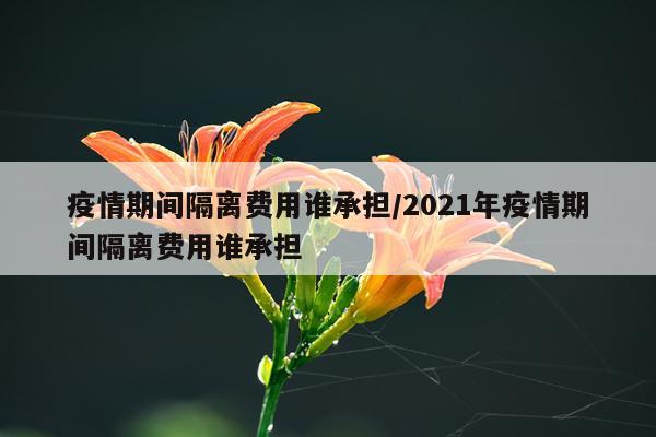 疫情期间隔离费用谁承担/2021年疫情期间隔离费用谁承担