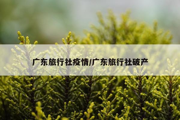 广东旅行社疫情/广东旅行社破产