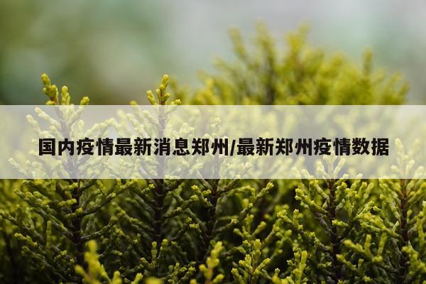 国内疫情最新消息郑州/最新郑州疫情数据