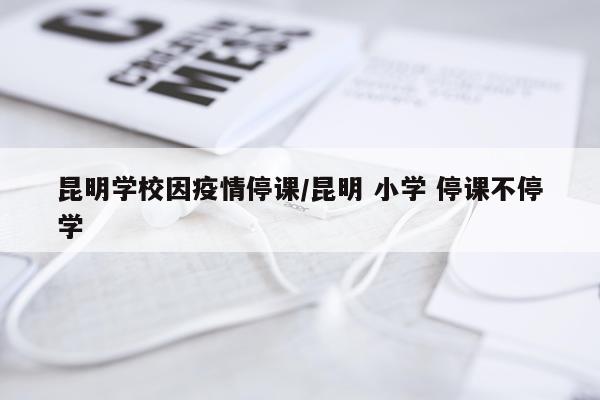 昆明学校因疫情停课/昆明 小学 停课不停学