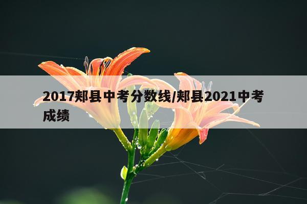 2017郏县中考分数线/郏县2021中考成绩