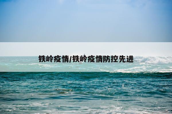 铁岭疫情/铁岭疫情防控先进