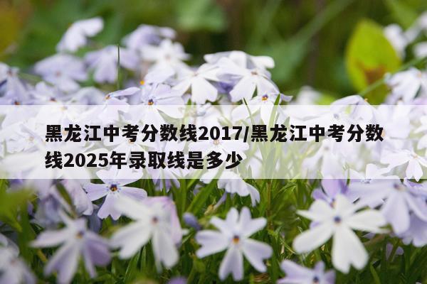 黑龙江中考分数线2017/黑龙江中考分数线2025年录取线是多少