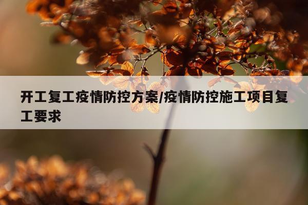 开工复工疫情防控方案/疫情防控施工项目复工要求