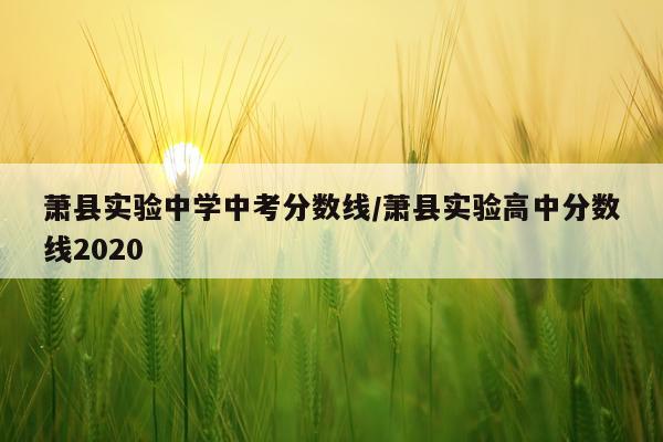 萧县实验中学中考分数线/萧县实验高中分数线2020