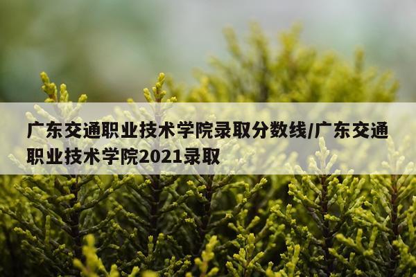广东交通职业技术学院录取分数线/广东交通职业技术学院2021录取