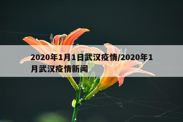 2020年1月1日武汉疫情/2020年1月武汉疫情新闻