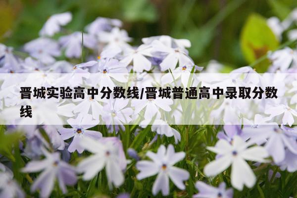 晋城实验高中分数线/晋城普通高中录取分数线