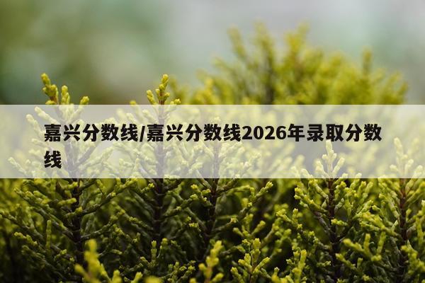 嘉兴分数线/嘉兴分数线2026年录取分数线