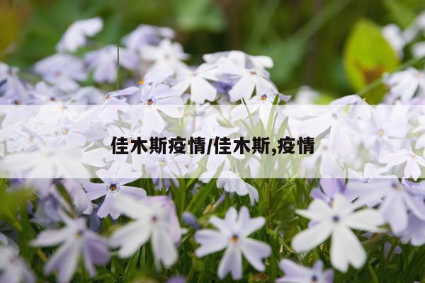 佳木斯疫情/佳木斯,疫情