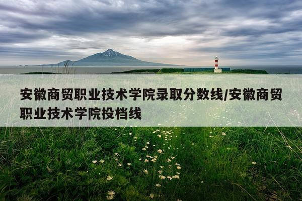 安徽商贸职业技术学院录取分数线/安徽商贸职业技术学院投档线