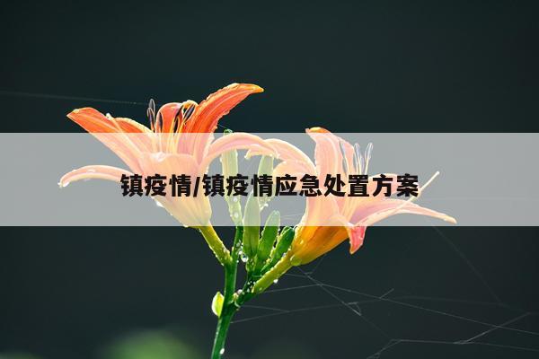 镇疫情/镇疫情应急处置方案