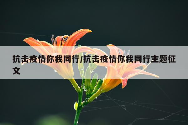 抗击疫情你我同行/抗击疫情你我同行主题征文
