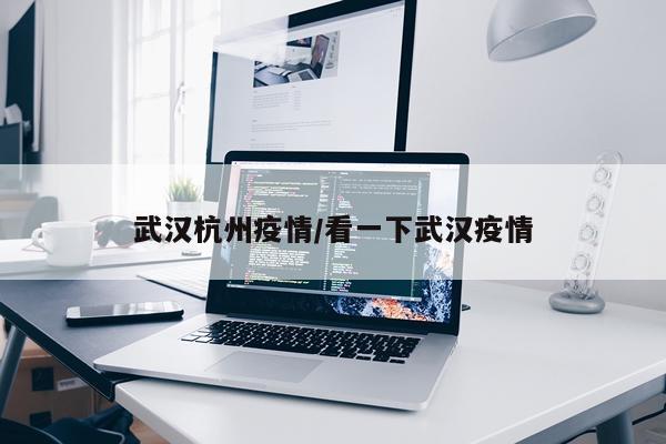 武汉杭州疫情/看一下武汉疫情