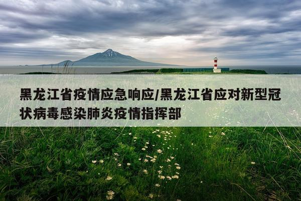 黑龙江省疫情应急响应/黑龙江省应对新型冠状病毒感染肺炎疫情指挥部