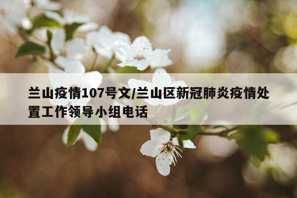 兰山疫情107号文/兰山区新冠肺炎疫情处置工作领导小组电话