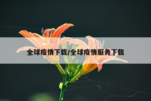 全球疫情下载/全球疫情服务下载