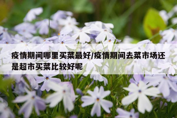 疫情期间哪里买菜最好/疫情期间去菜市场还是超市买菜比较好呢