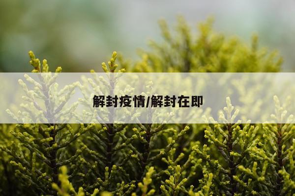 解封疫情/解封在即