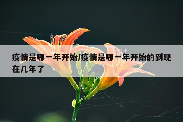 疫情是哪一年开始/疫情是哪一年开始的到现在几年了
