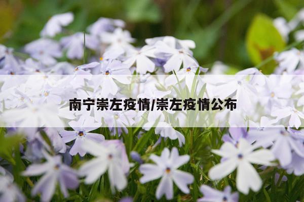 南宁崇左疫情/崇左疫情公布