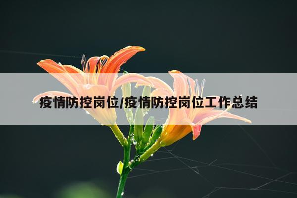 疫情防控岗位/疫情防控岗位工作总结