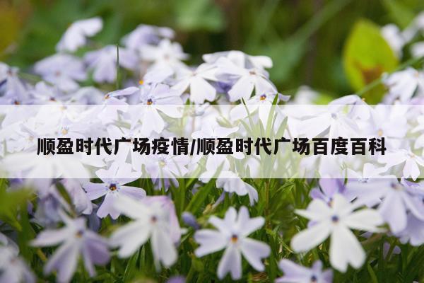 顺盈时代广场疫情/顺盈时代广场百度百科
