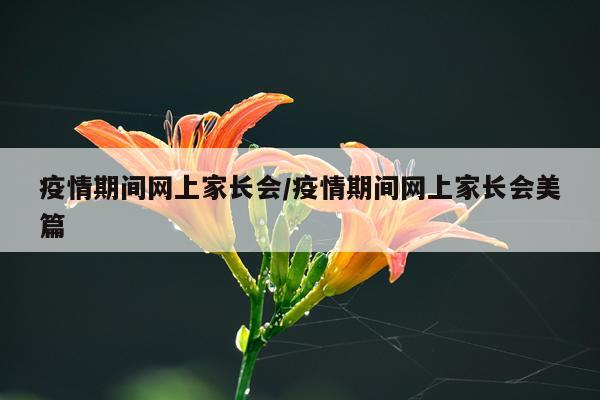疫情期间网上家长会/疫情期间网上家长会美篇