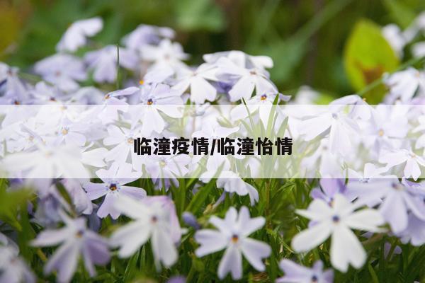 临潼疫情/临潼怡情