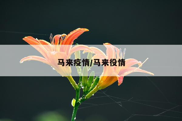 马来疫情/马来役情