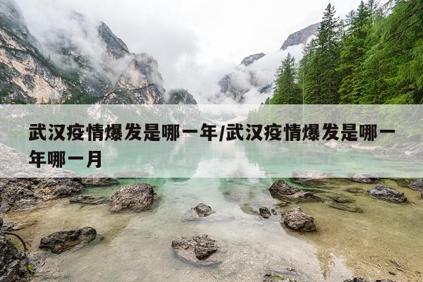 武汉疫情爆发是哪一年/武汉疫情爆发是哪一年哪一月