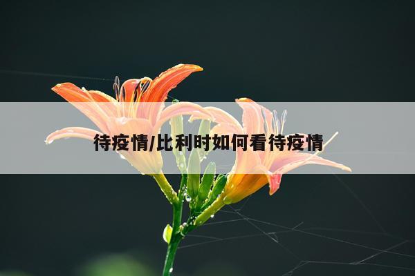 待疫情/比利时如何看待疫情