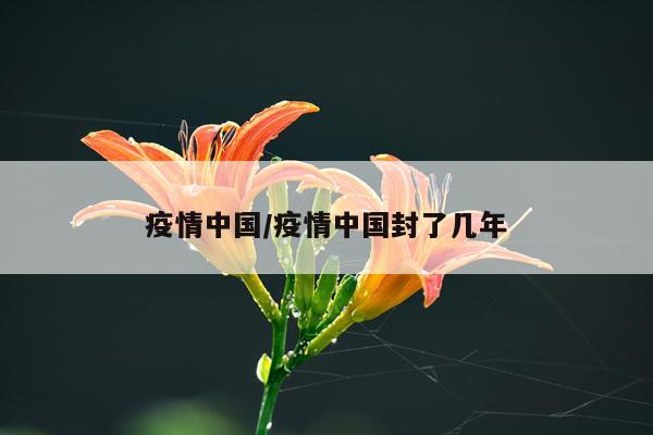 疫情中国/疫情中国封了几年
