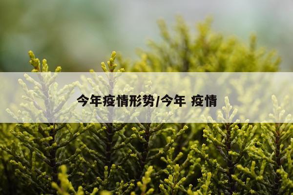 今年疫情形势/今年 疫情
