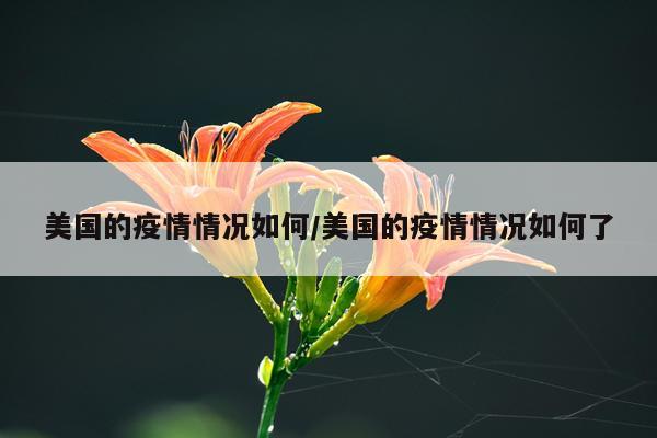 美国的疫情情况如何/美国的疫情情况如何了