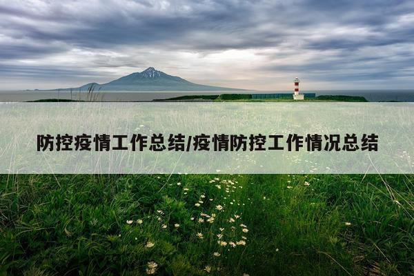 防控疫情工作总结/疫情防控工作情况总结